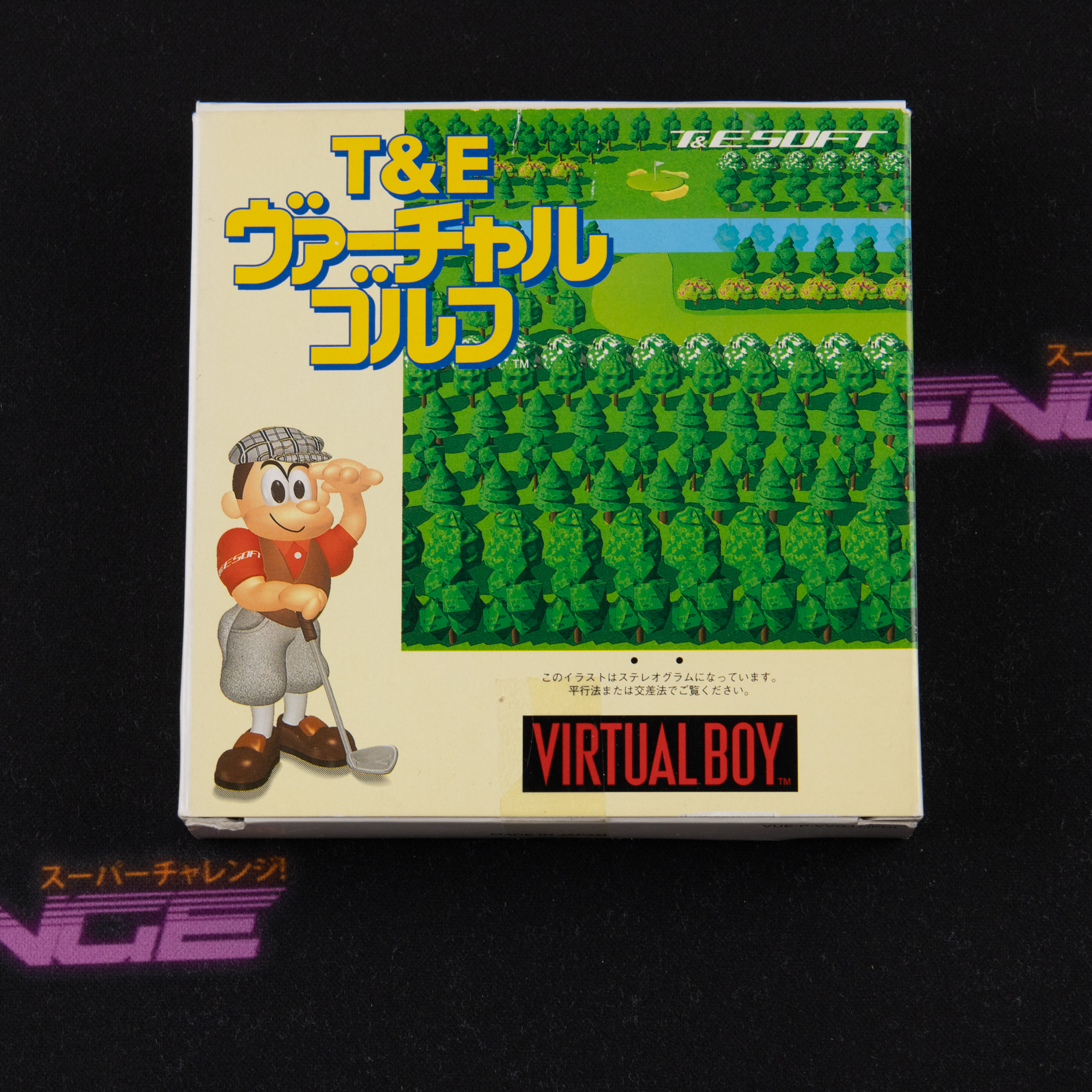 T&E Virtual Golf